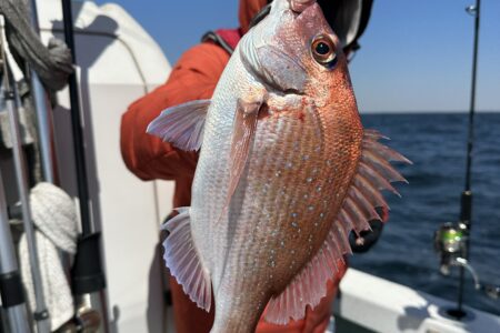 鯛ラバ釣果報告！！